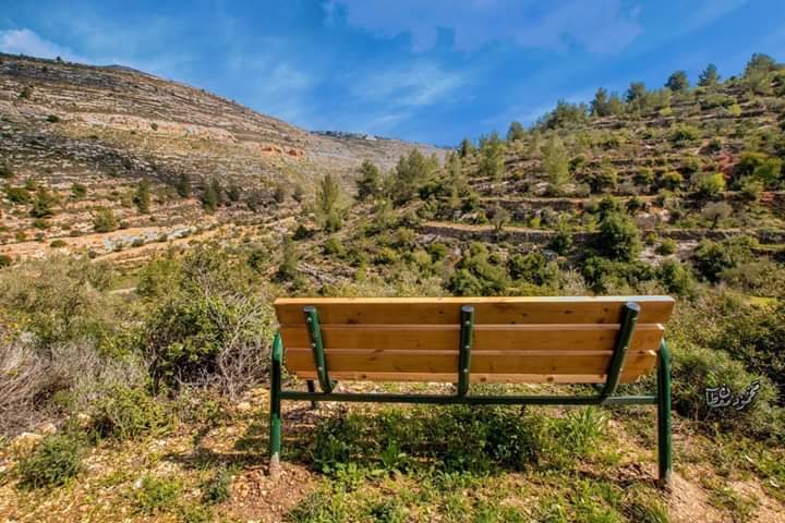 ���� ���� ������ �� ���� ������