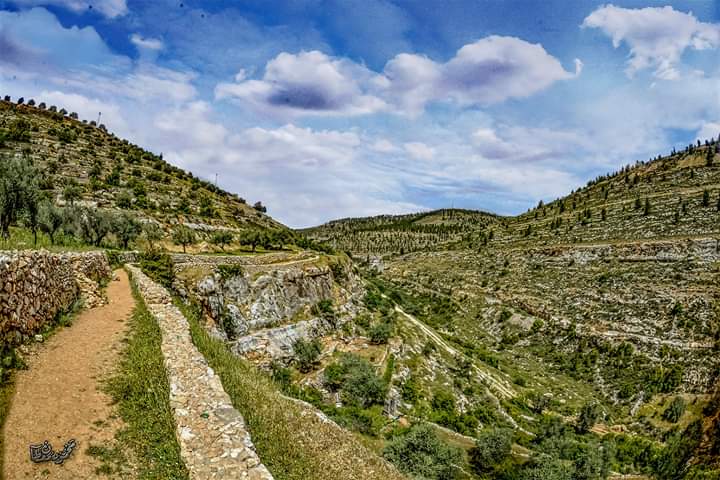 ���� ���� ������ �� ���� ������