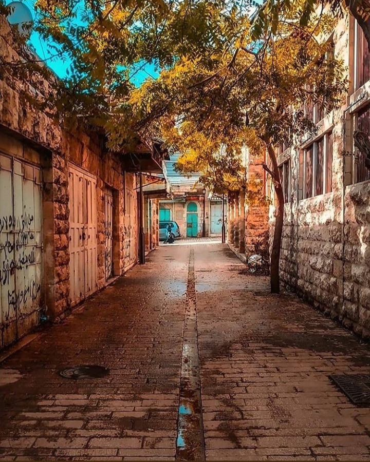 ���� ���� ������ �� ���� ������