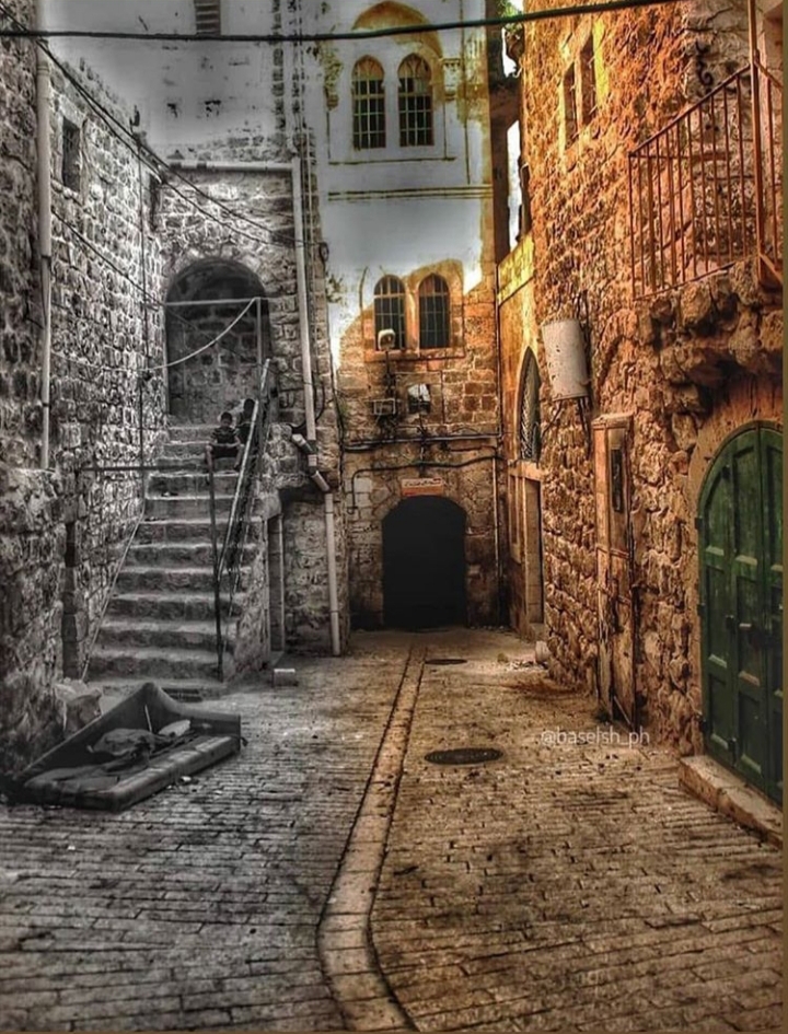 ���� ���� ������ �� ���� ������