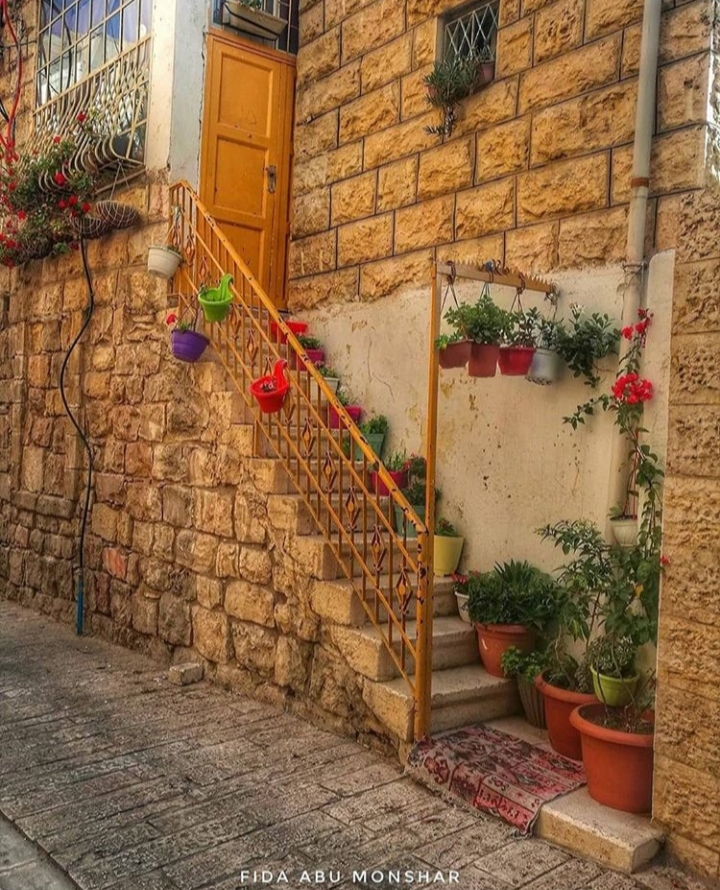 ���� ���� ������ �� ���� ������