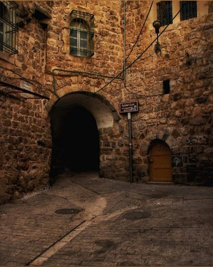 ���� ���� ������ �� ���� ������