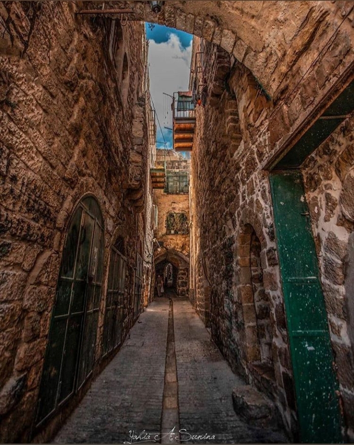 ���� ���� ������ �� ���� ������