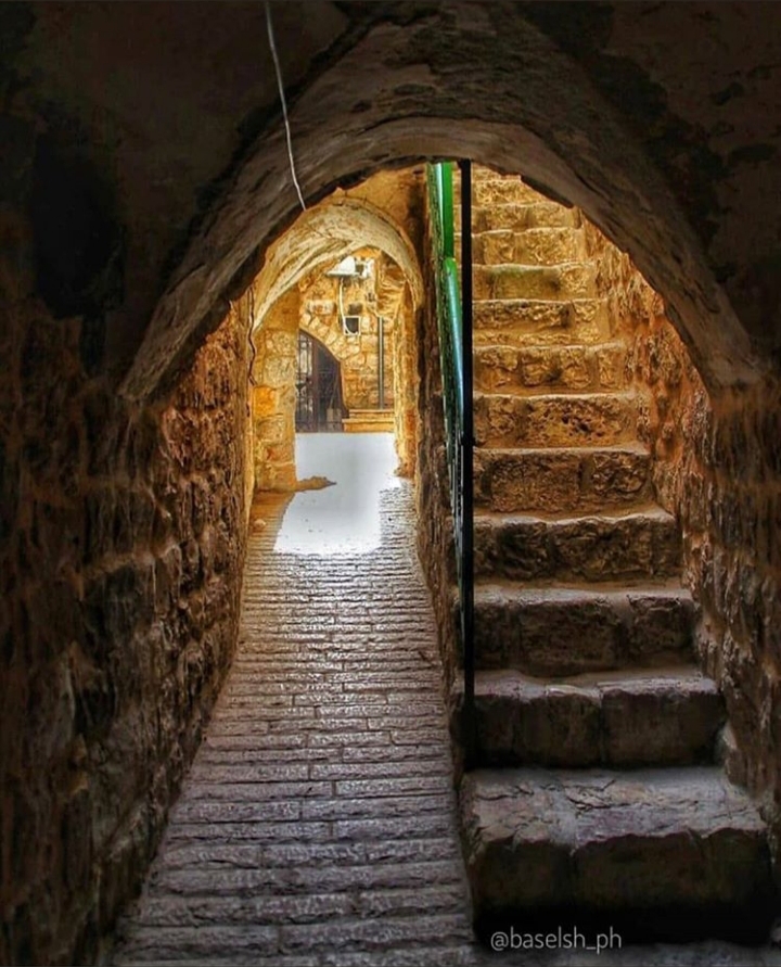 ���� ���� ������ �� ���� ������