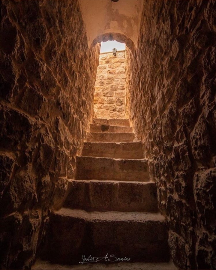 ���� ���� ������ �� ���� ������