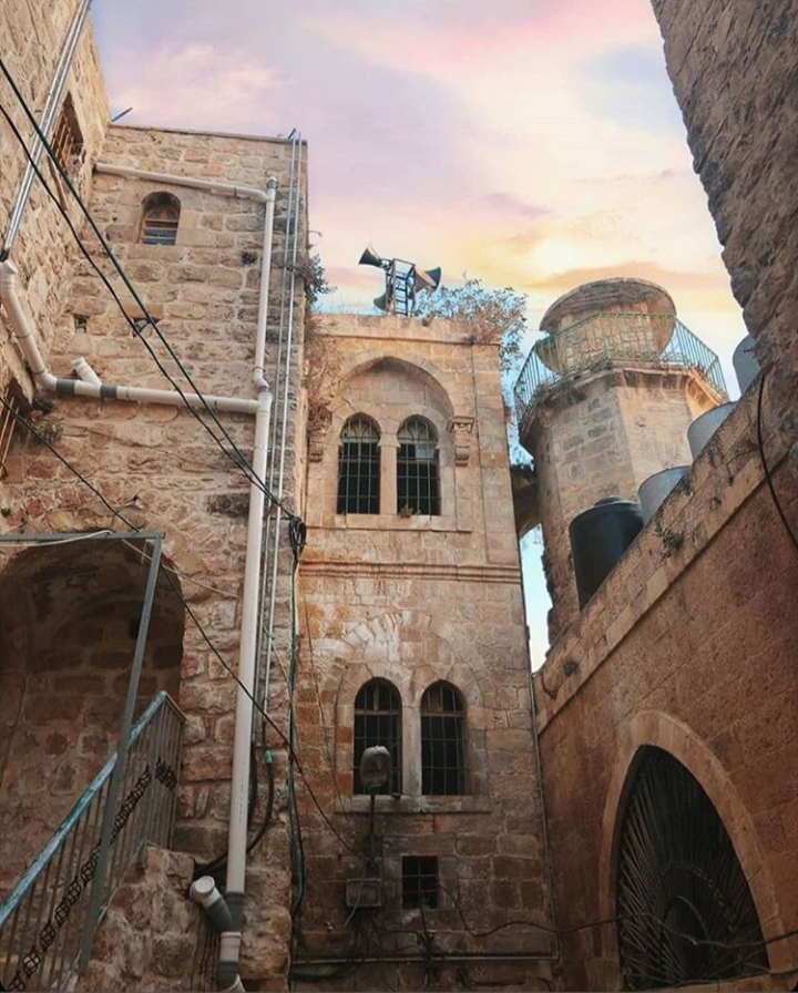 ���� ���� ������ �� ���� ������