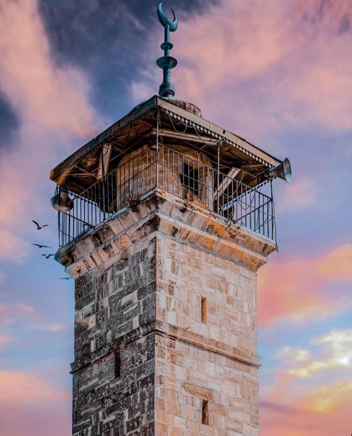 ���� ���� ������ �� ���� ������