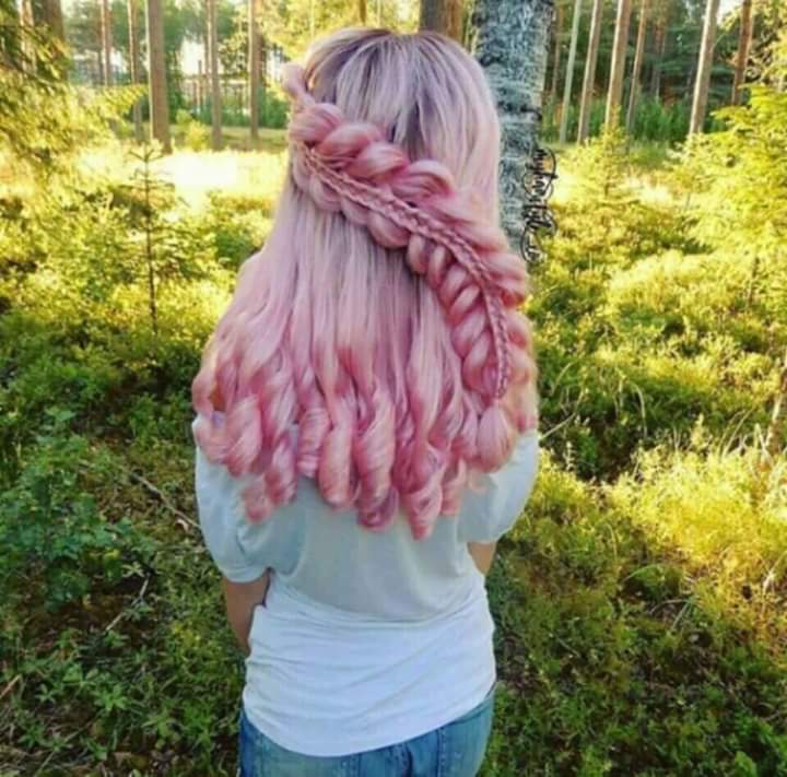 ���� ���� ������ �� ���� ������