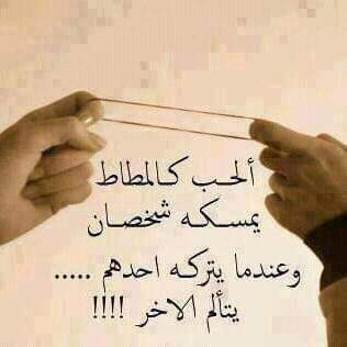 ���� ���� ������ �� ���� ������