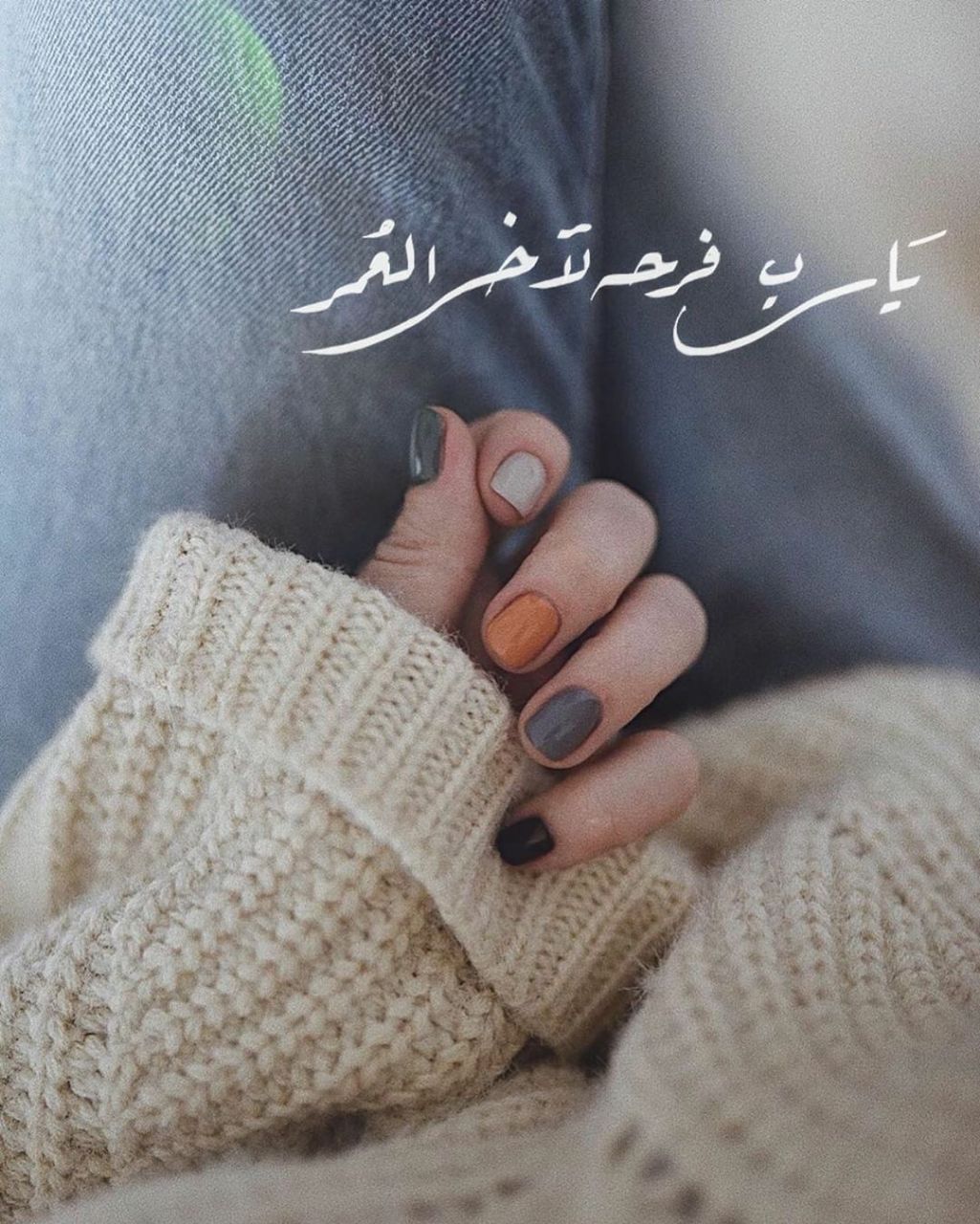 ���� ���� ������ �� ���� ������