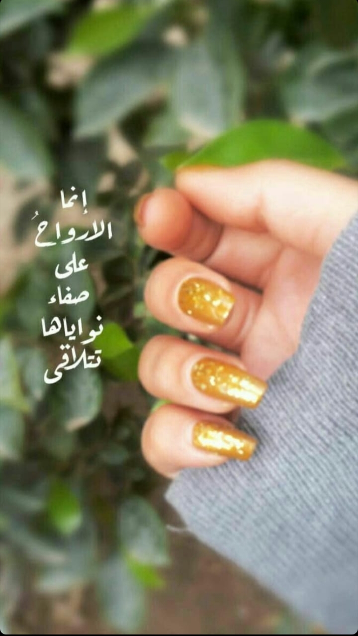 ���� ���� ������ �� ���� ������