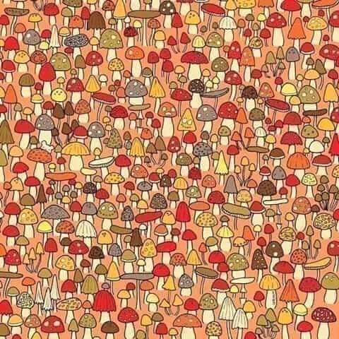 ���� ���� ������ �� ���� ������