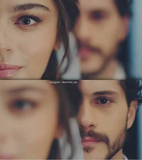 ���� ���� ������ �� ���� ������