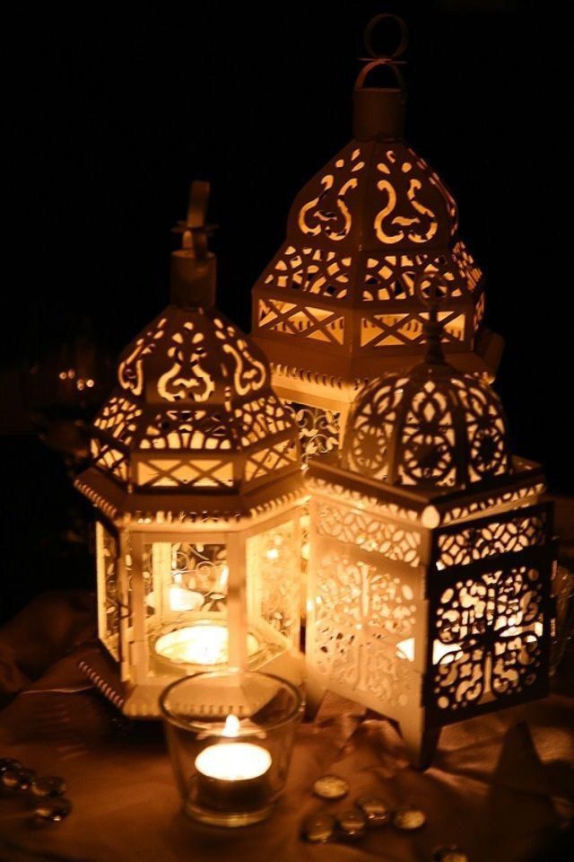 ���� ���� ������ �� ���� ������