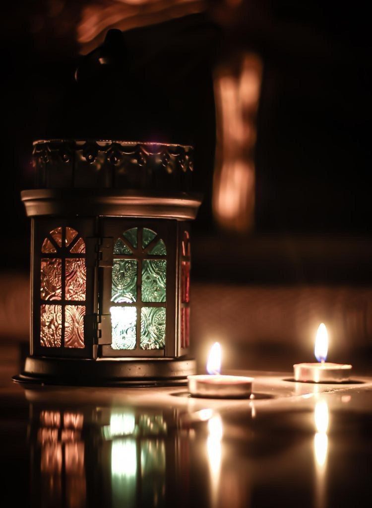 ���� ���� ������ �� ���� ������