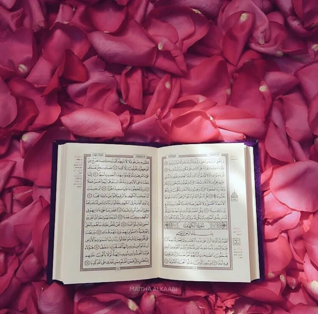 ���� ���� ������ �� ���� ������