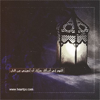 ���� ���� ������ �� ���� ������