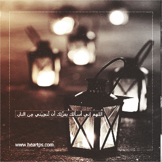 ���� ���� ������ �� ���� ������