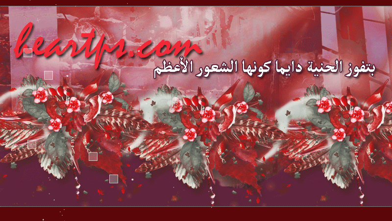 ���� ���� ������ �� ���� ������