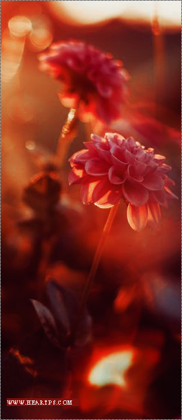 ���� ���� ������ �� ���� ������