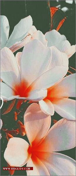 ���� ���� ������ �� ���� ������