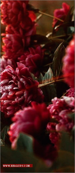 ���� ���� ������ �� ���� ������