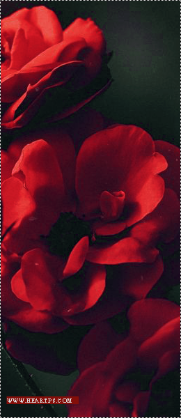 ���� ���� ������ �� ���� ������