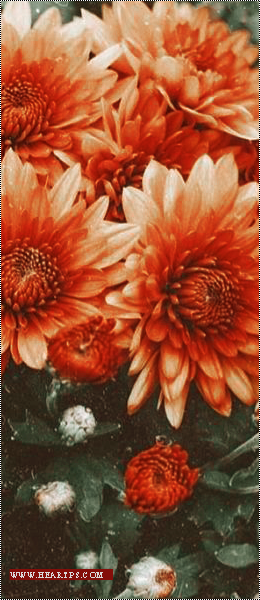 ���� ���� ������ �� ���� ������