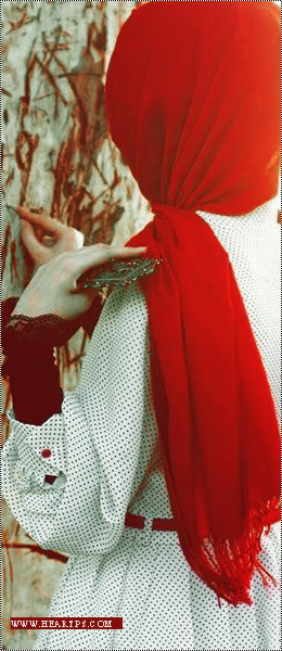 ���� ���� ������ �� ���� ������