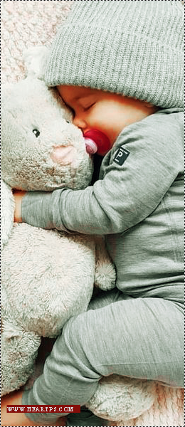 ���� ���� ������ �� ���� ������