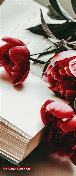 ���� ���� ������ �� ���� ������