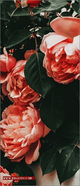 ���� ���� ������ �� ���� ������