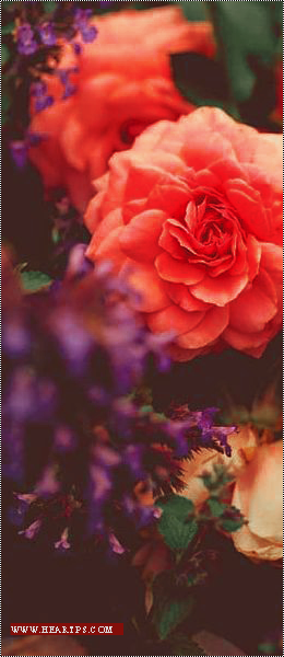 ���� ���� ������ �� ���� ������