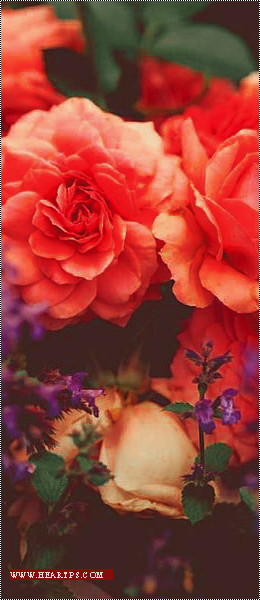 ���� ���� ������ �� ���� ������