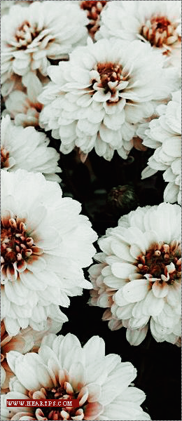 ���� ���� ������ �� ���� ������