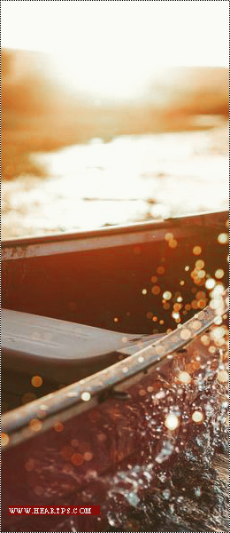 ���� ���� ������ �� ���� ������