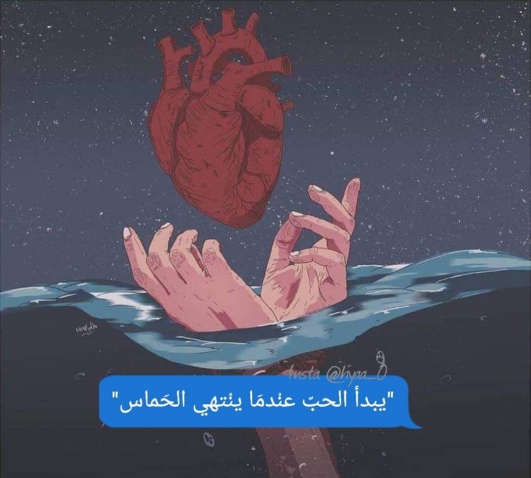 ���� ���� ������ �� ���� ������