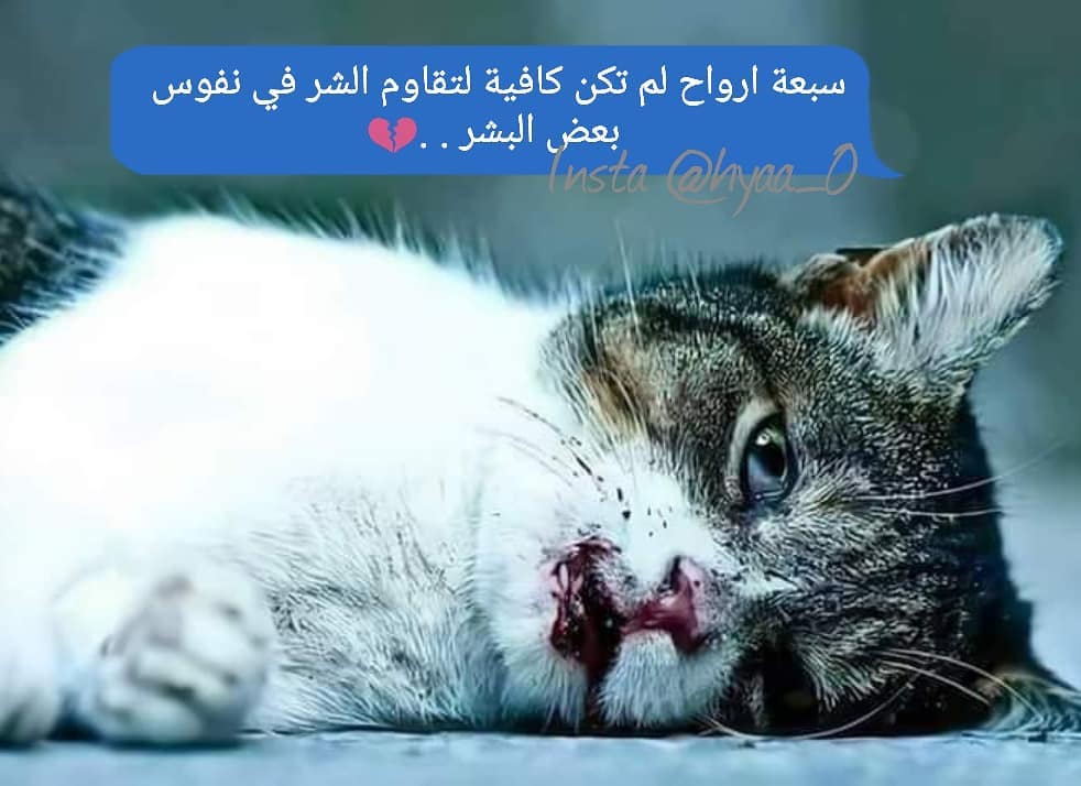 ���� ���� ������ �� ���� ������