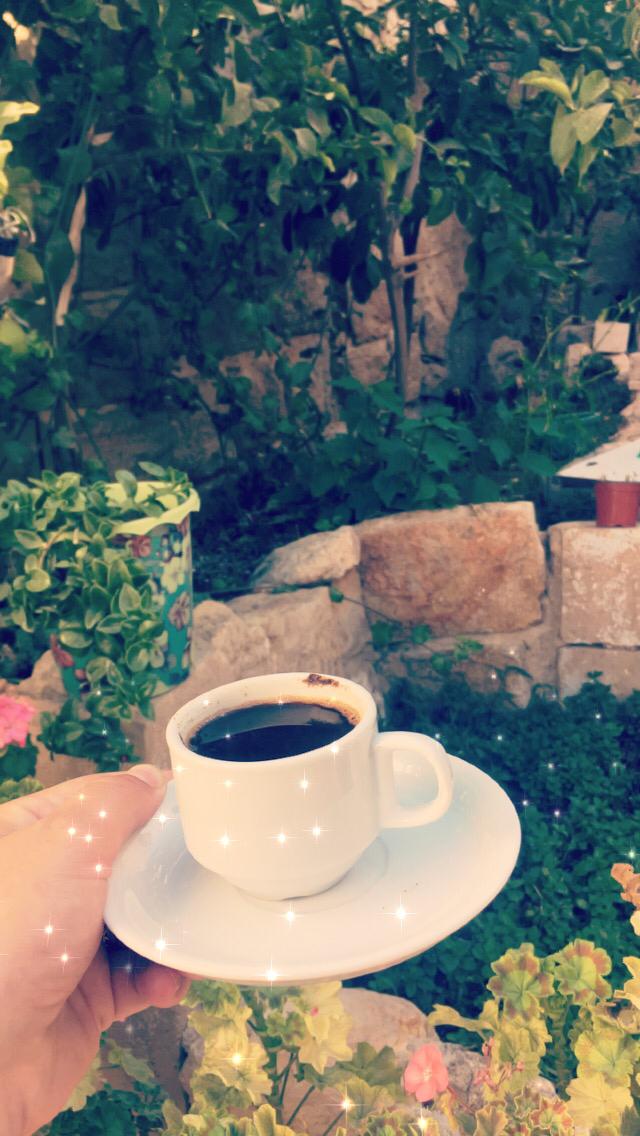 bntpal.com_159295318976691.jpg