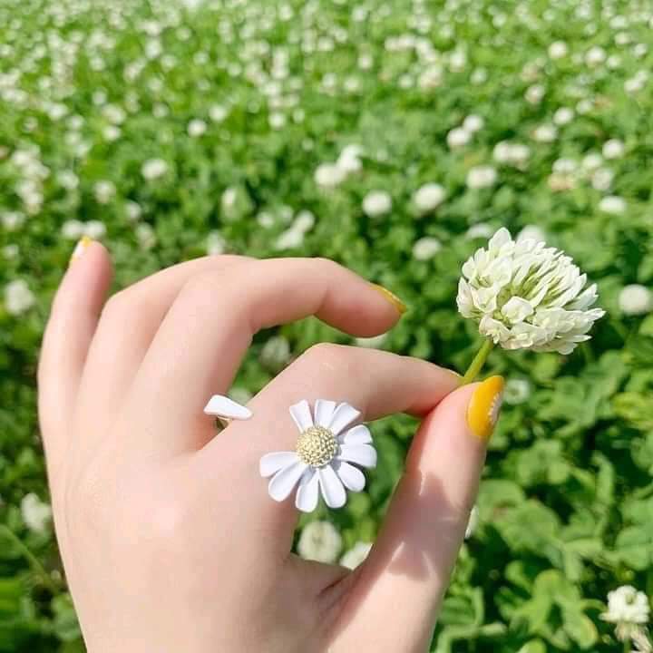 ���� ���� ������ �� ���� ������