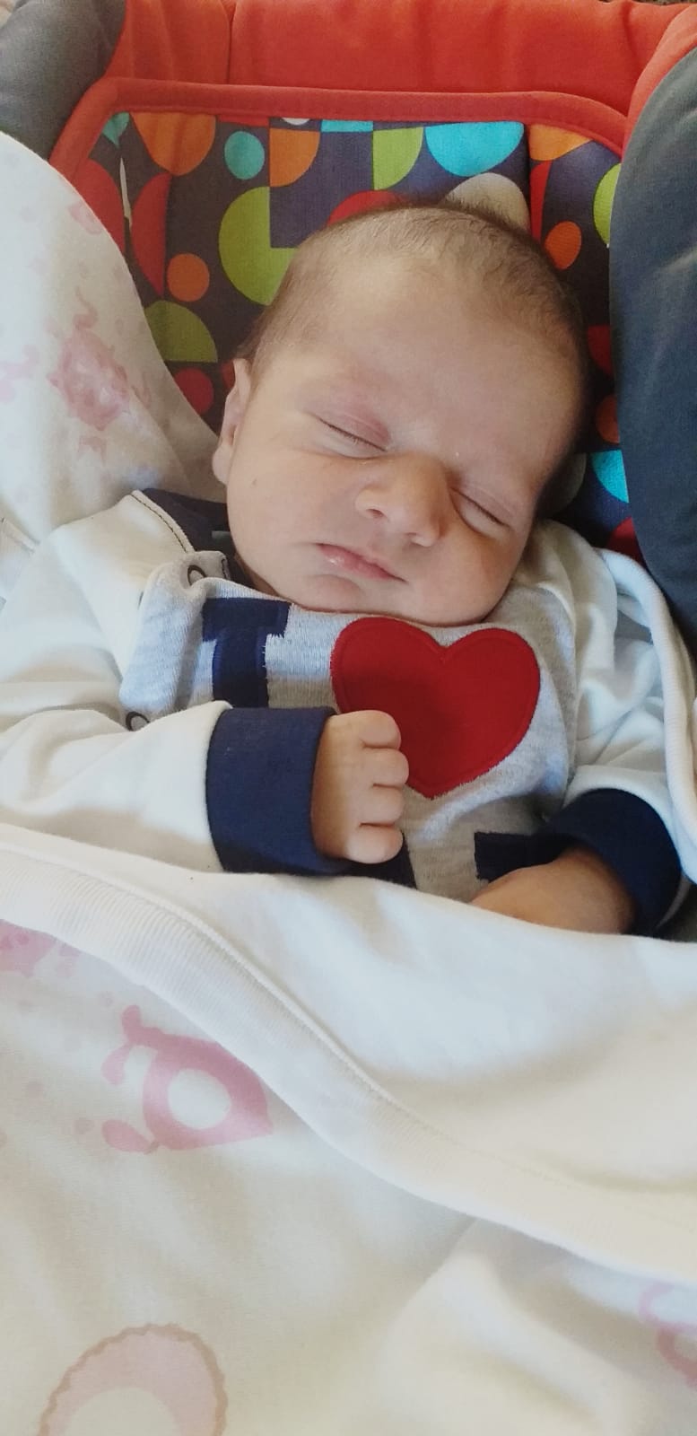 ���� ���� ������ �� ���� ������