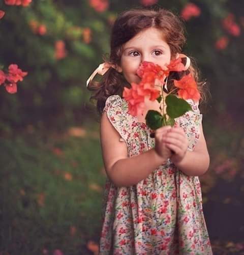 ���� ���� ������ �� ���� ������