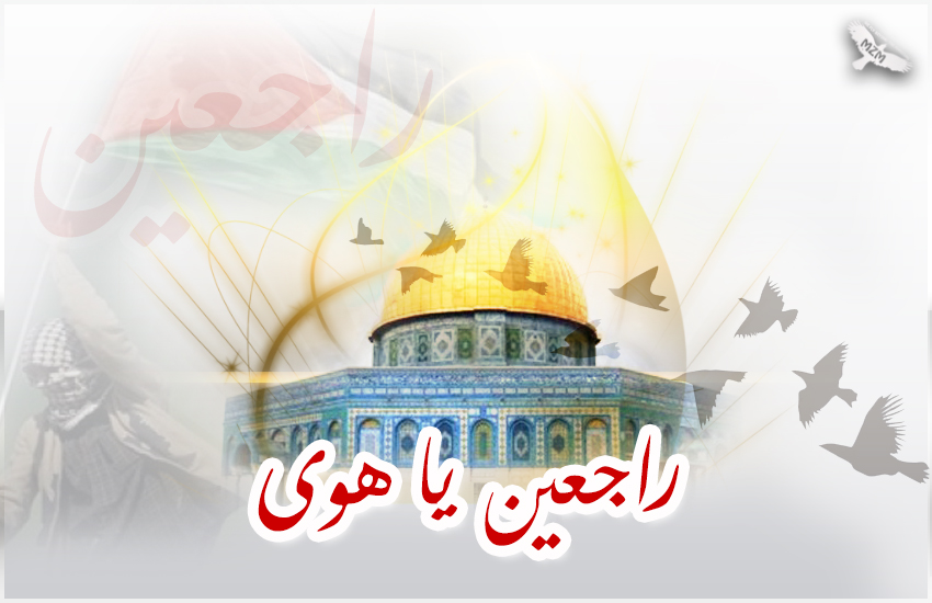 bntpal.com_159705582