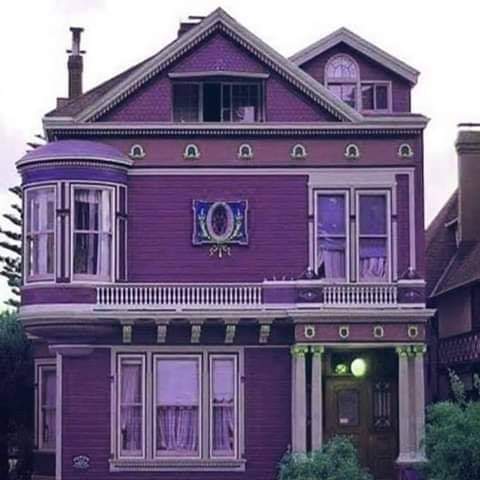 ���� ���� ������ �� ���� ������