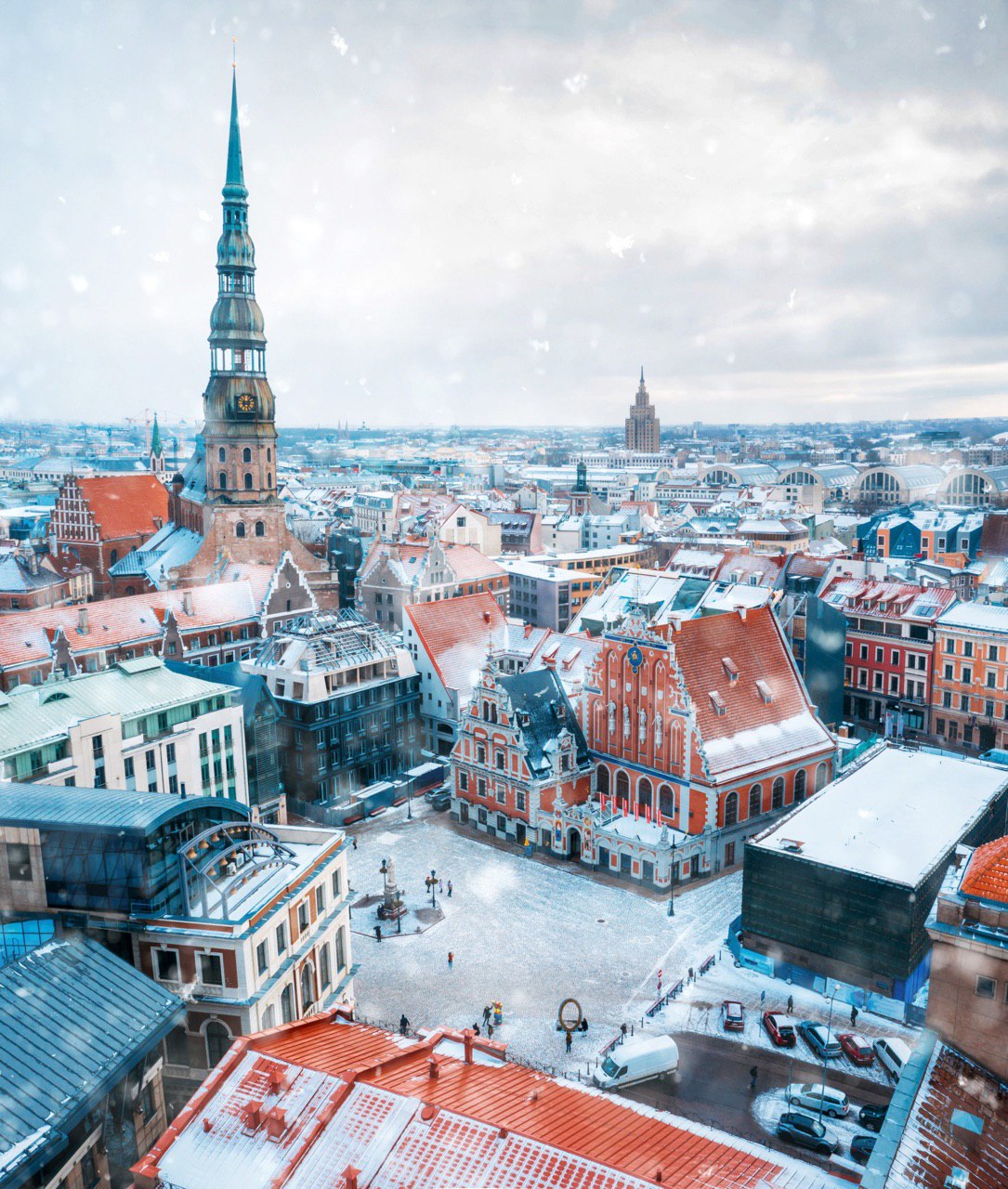 ���� ���� ������ �� ���� ������