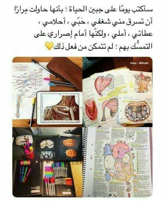 ���� ���� ������ �� ���� ������