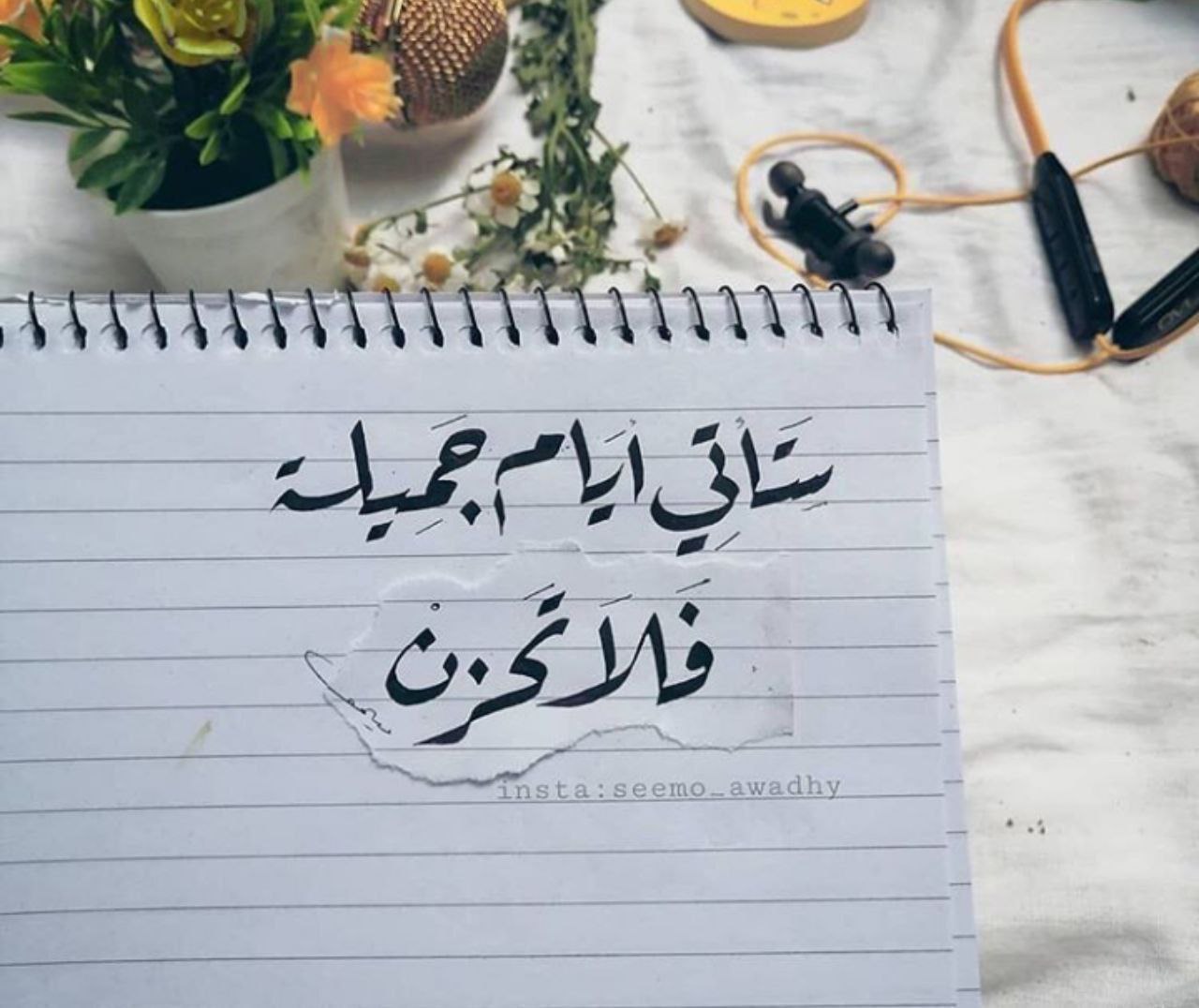 ���� ���� ������ �� ���� ������