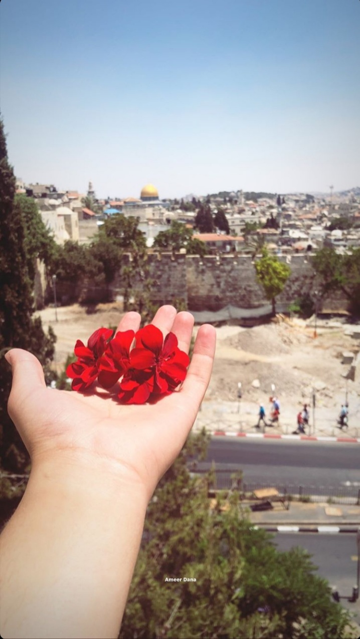 ���� ���� ������ �� ���� ������