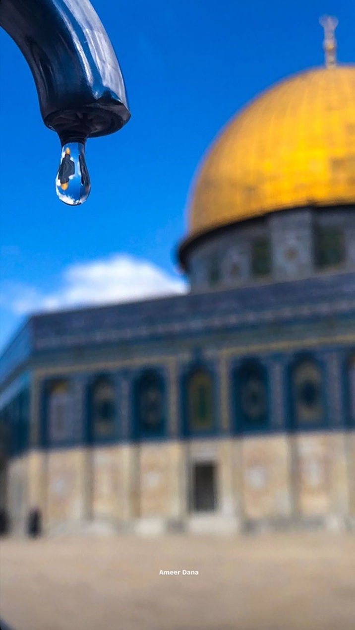 ���� ���� ������ �� ���� ������