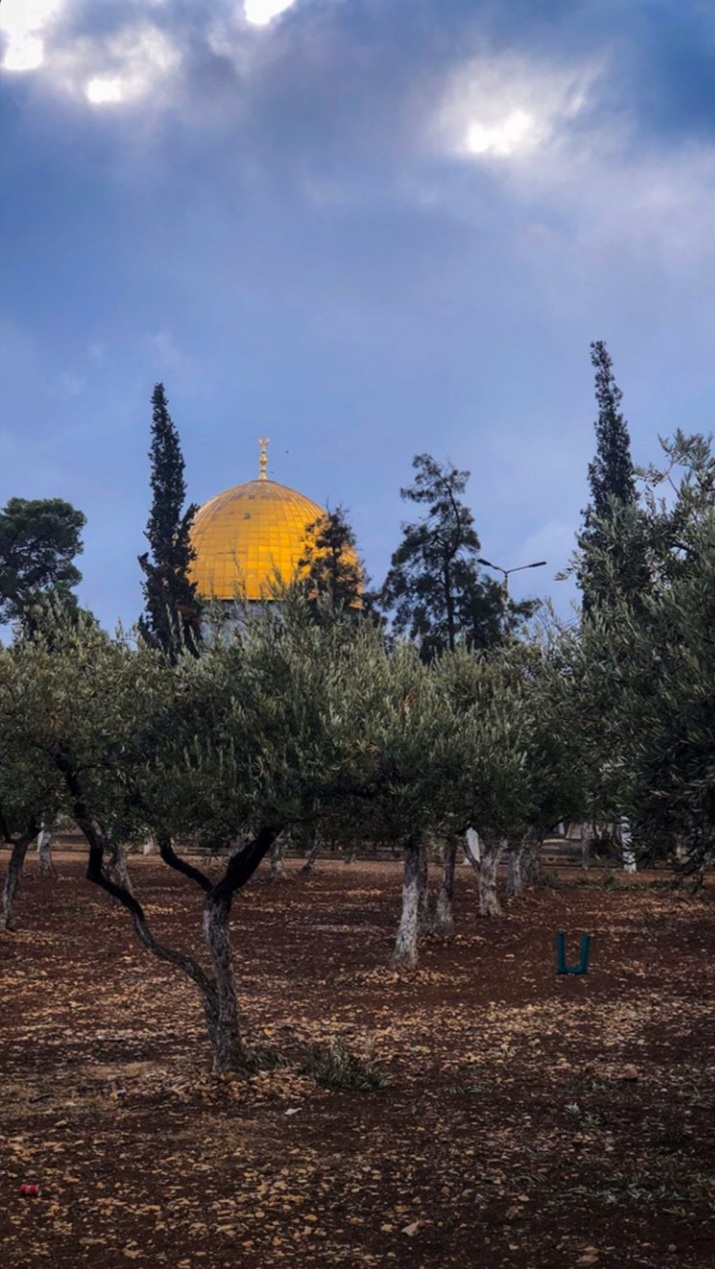 ���� ���� ������ �� ���� ������